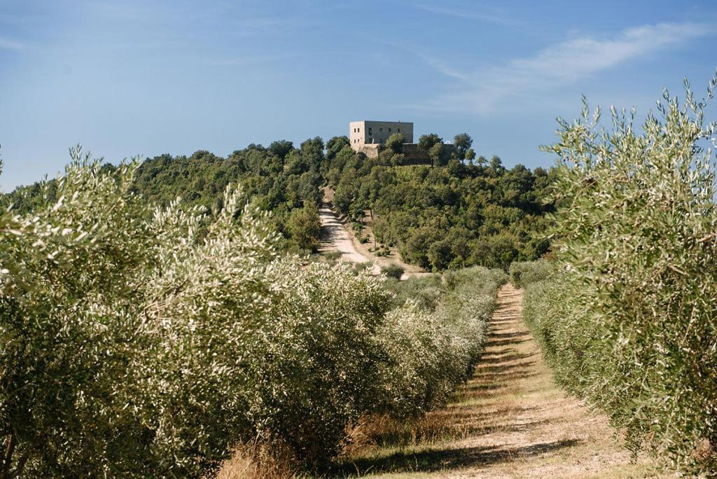 Tenuta Di Forte Sorgnano Gualdo Cattaneo Eksteriør bilde
